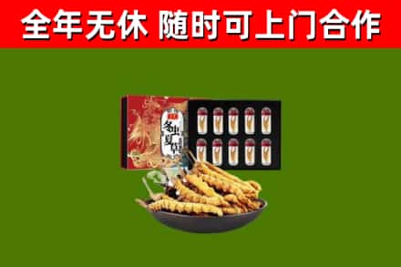呈贡区回收冬虫夏草价格
